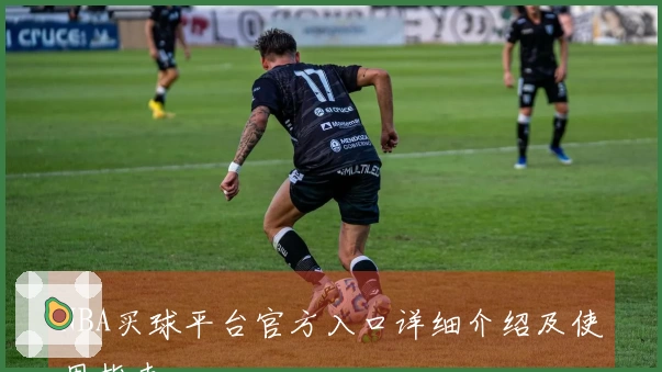 NBA买球平台官方入口详细介绍及使用指南