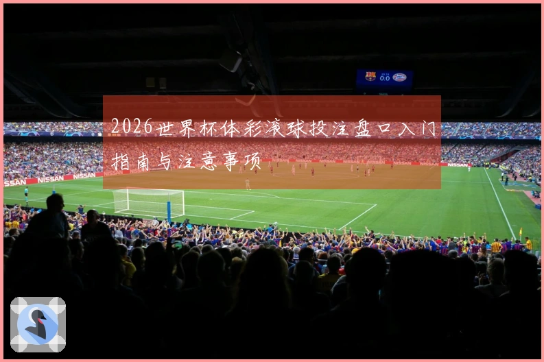 2026世界杯体彩滚球投注盘口入门指南与注意事项