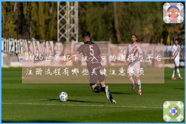 2026世界杯下注入口的选择与平台注册流程有哪些关键注意事项