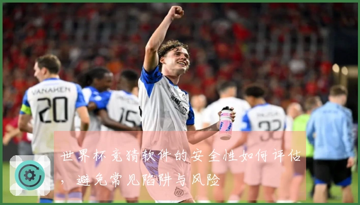 世界杯竞猜软件的安全性如何评估，避免常见陷阱与风险