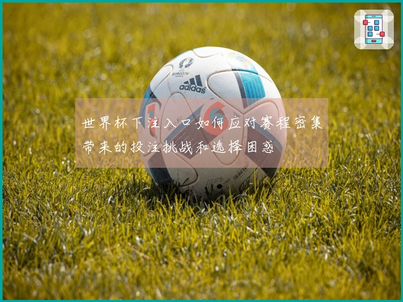 世界杯下注入口如何应对赛程密集带来的投注挑战和选择困惑