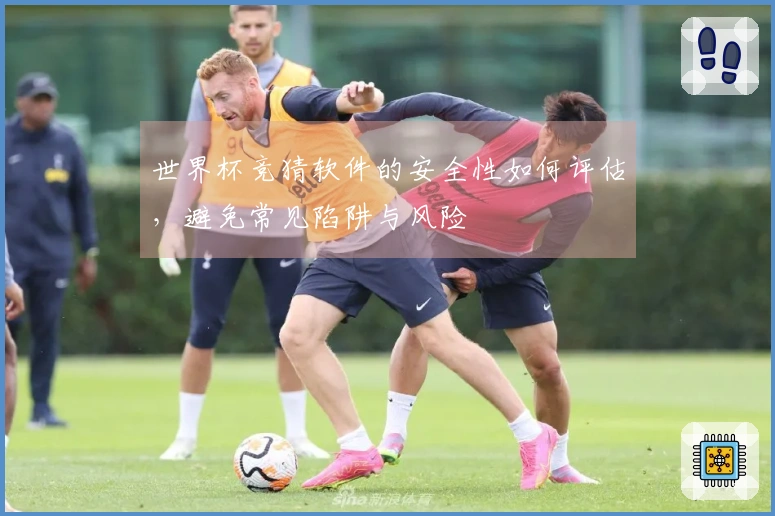 世界杯竞猜软件的安全性如何评估，避免常见陷阱与风险