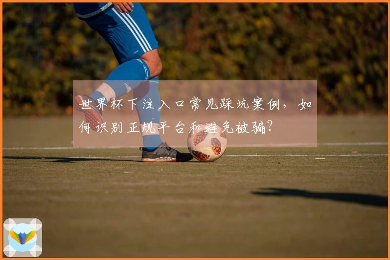 世界杯下注入口常见踩坑案例，如何识别正规平台和避免被骗？