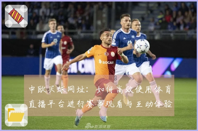 中欧买球网址：如何高效使用体育直播平台进行赛事观看与互动体验