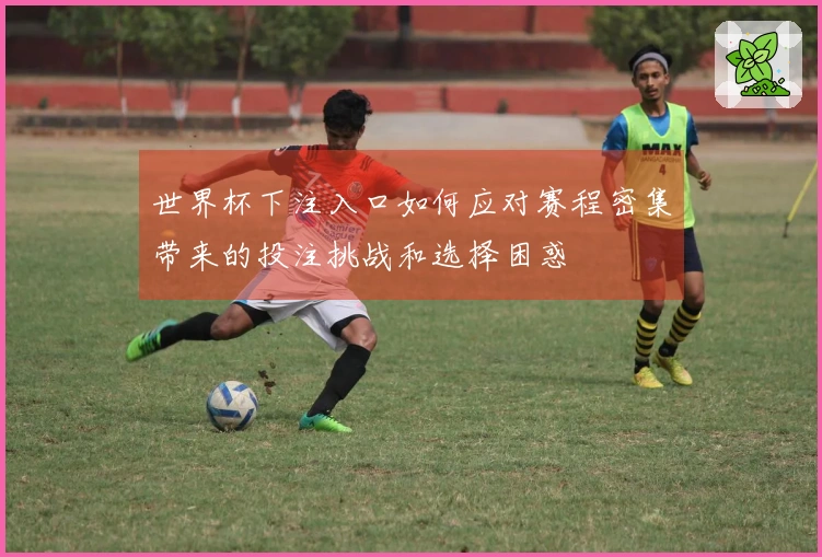 世界杯下注入口如何应对赛程密集带来的投注挑战和选择困惑