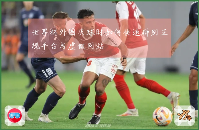 世界杯外围买球时如何快速辨别正规平台与虚假网站